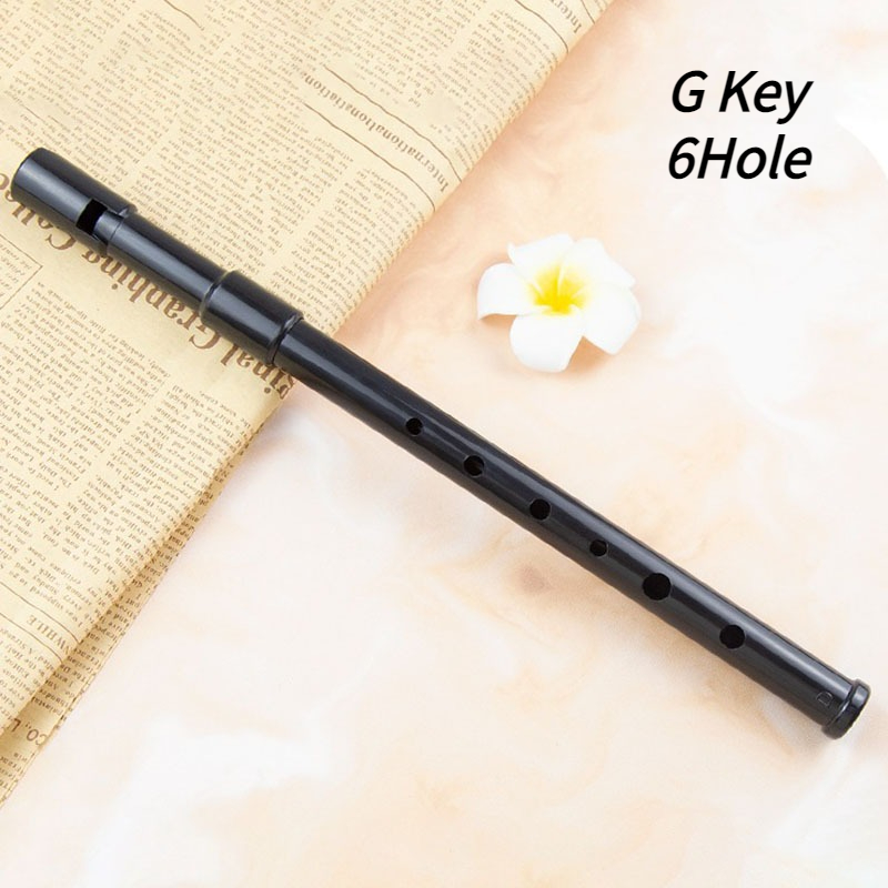 6 Hole Resin Tin Whistle D Key - Penny Whistle D review and price