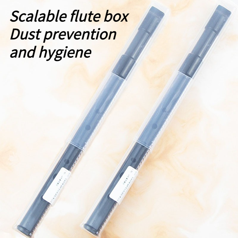 6 Hole Resin Tin Whistle D Key - Penny Whistle D review and price