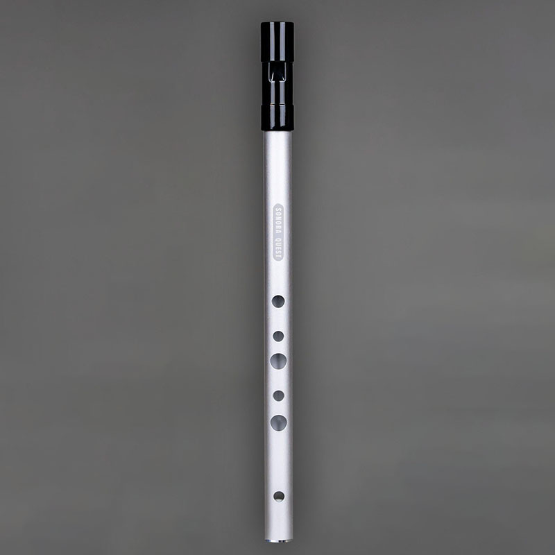 D Key 6 Hole Penny Whistle Met - Penny Whistle D review and price