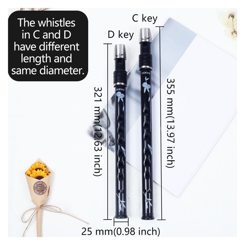 ABLB-6 Holes Irish Tin Penny W - Penny Whistle D review and price