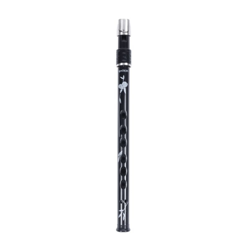 ABLB-6 Holes Irish Tin Penny W - Penny Whistle D review and price