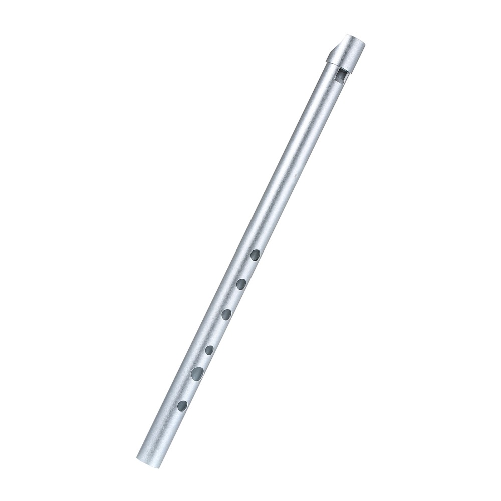 Professional Key of D Irish Wh - Penny Whistle D review and price
