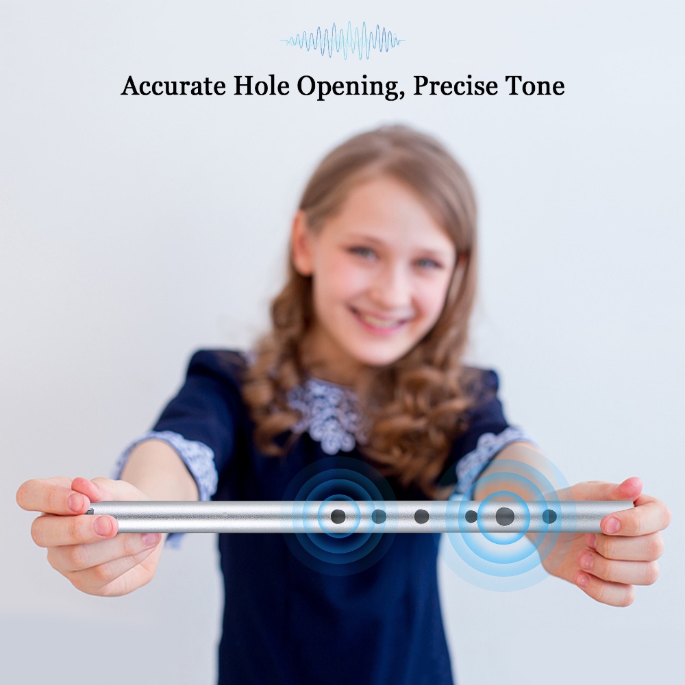 Professional Key of D Irish Wh - Penny Whistle D review and price