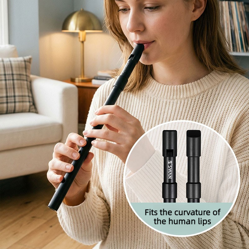 C/D Key Tin Whistle Beginner P - Penny Whistle D review and price