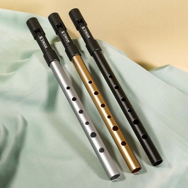 C/D Key Tin Whistle Beginner P - Penny Whistle D review and price