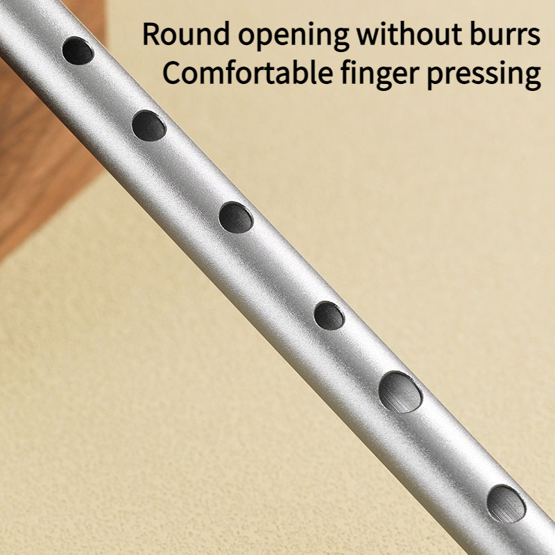 C/D Key Tin Whistle Beginner P - Penny Whistle D review and price