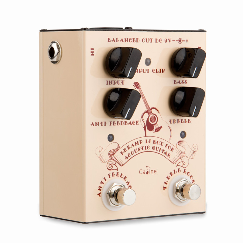 Caline CP-40 Acoustic Guitar E - Musical Instrument Amplifier review and price