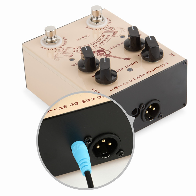 Caline CP-40 Acoustic Guitar E - Musical Instrument Amplifier review and price