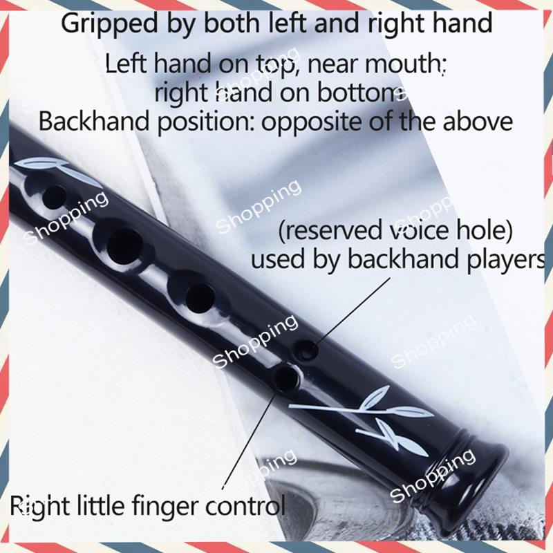 A44M 6 Holes Irish Tin Penny W - Penny Whistle D review and price
