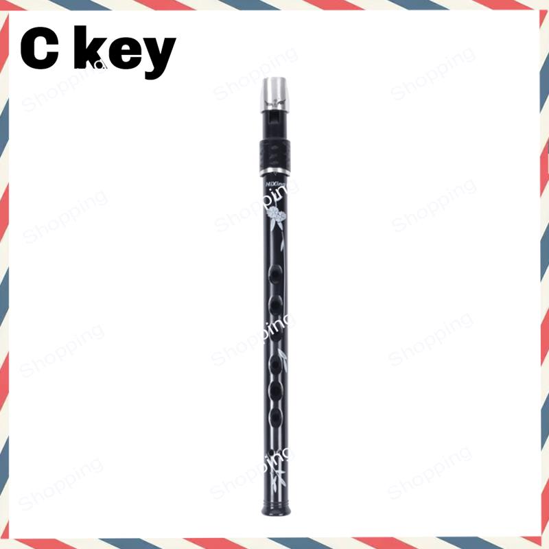A44M 6 Holes Irish Tin Penny W - Penny Whistle D review and price